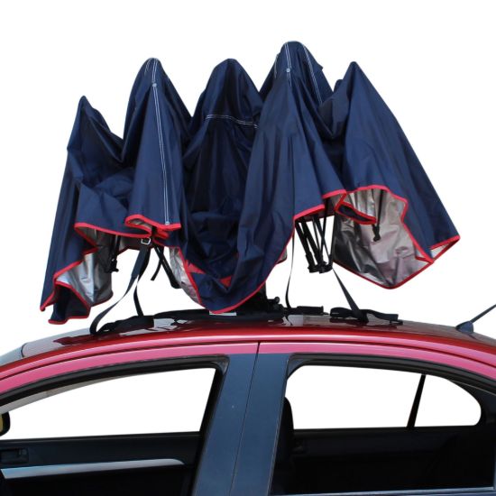 Imagen de Sombrilla automática para auto  SAA-35