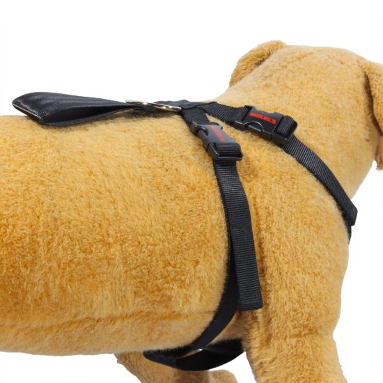 Imagen de Cinturón de seguridad para mascotas CISMA