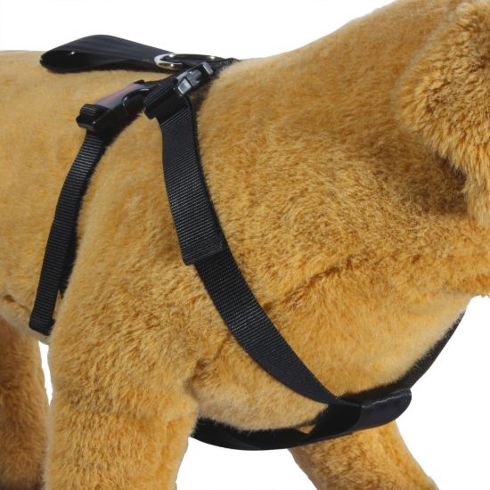 Imagen de Cinturón de seguridad para mascotas CISMA
