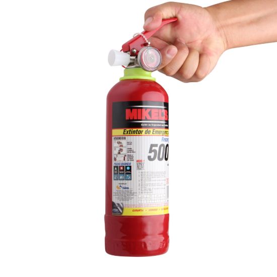 Imagen de Extintor de emergencia recargable (500 grs) EE-500